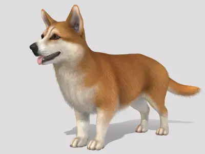 Dog - Corgi Low-poly 3D model