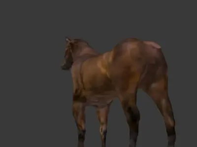 Horse Textured 3d Model 3D model