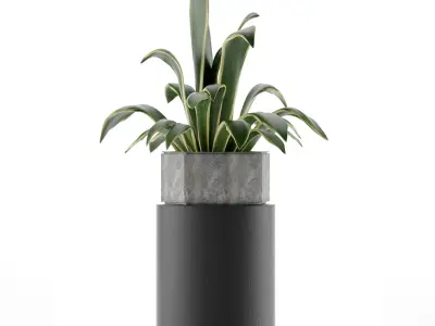 House Plant 26 3D model