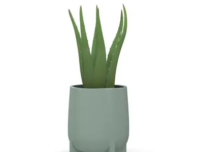 Stoneware Footed Aloe vera Planter  PBR 3D model