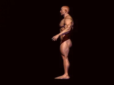 body builder base meash  Low-poly 3D model