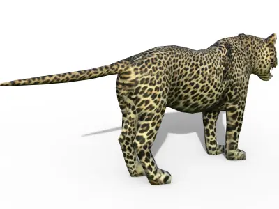 Leopard game ready Low-poly 3D model