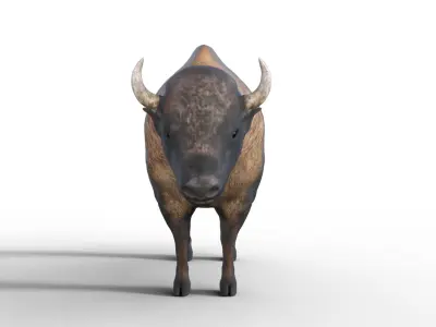 Bison rigged Low-poly 3D model