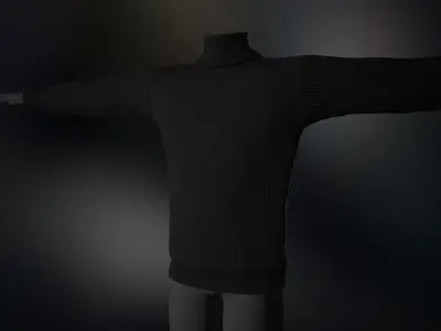 Black Winter Turtleneck Low-poly 3D model