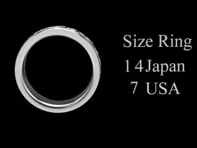 Ring Men D13 3D print model