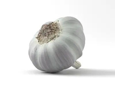 Photorealistic Garlic 3D Scan 3D model