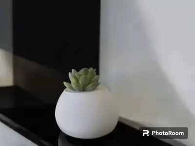 decorative vase 3D print model get