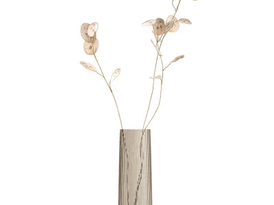 Bouquet of dried flowers  Lunaria in a glass vase 129 3D model