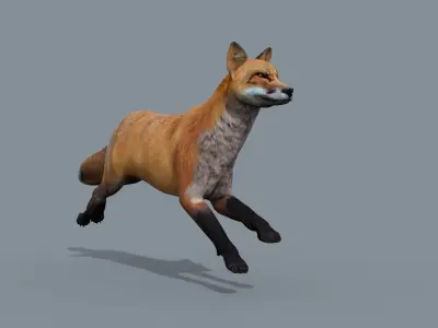 My Fox - 3d animated fox model 3D model