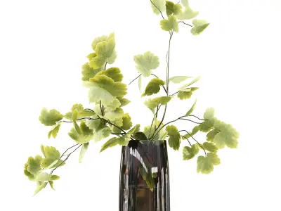 Collection Indoor Plants 010 3D model