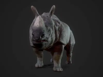 Indian Rhinoceros - Game Ready Low-poly 3D model