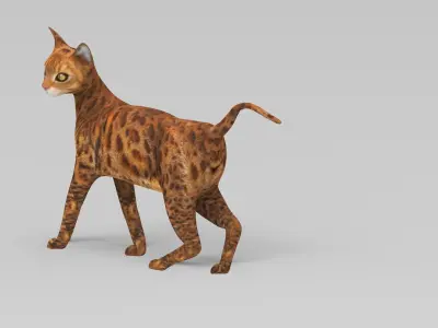 3d Cat Rigged model Low-poly 3D model