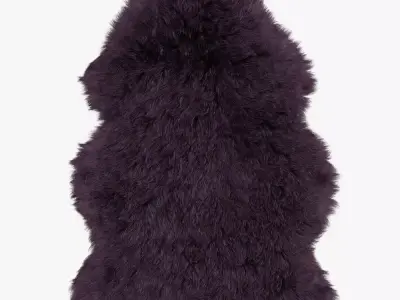 Sheepskin Rug-02 3D model