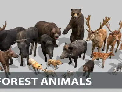 Forest animals 1 Low-poly 3D model