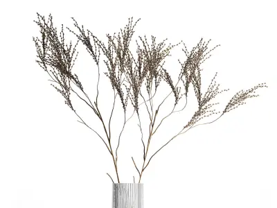 Minimalistic Bouquet Of Dry Branches In A Vase 315 3D model