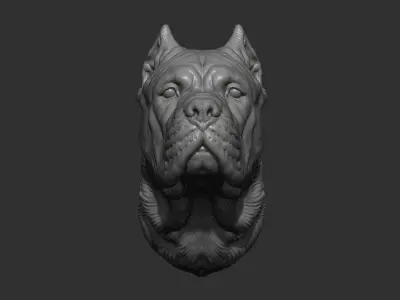 Canne Corso dog 3D print model