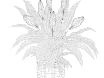 Peace lily 03 3D model purchase