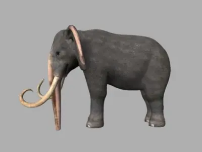 Asiatic Elephant Rig Low-poly 3D model