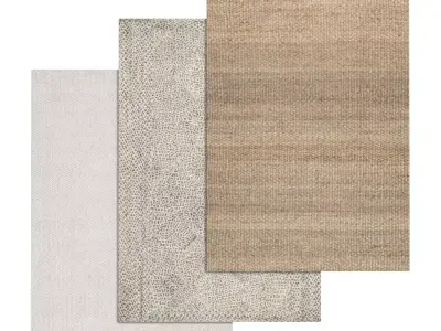 Rug Set 1438 3D model