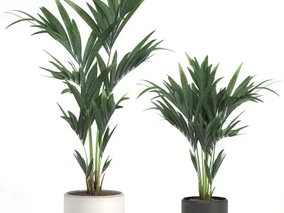Decorative palm in a white flowerpot 566 3D model