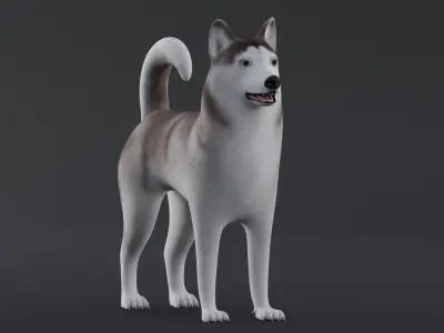 Dog Alaskan Malmute Low Poly Model Game AR VR Low-poly 3D model