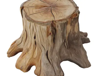 trunk 104 3D model