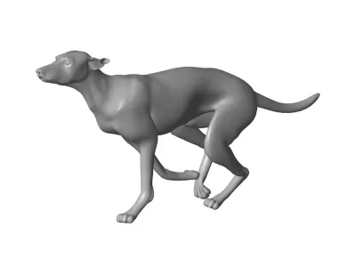 Dog - 3D model 8