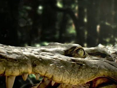 Realistic Crocodile Rig 3D model