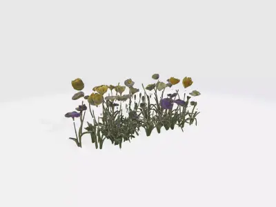 Wildflowers Low-poly 3D model