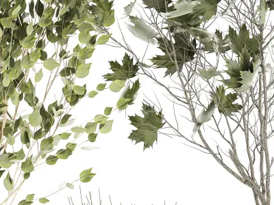 Beautiful bushes trees and grass in a flower pot for decoration  3D model