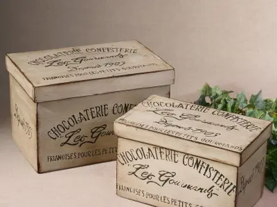 Netto Decorative Box 3D model