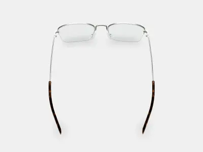 Armando Eyeglasses in Polished Silver 3D model
