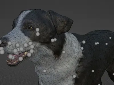 DOG - BORDER COLLIE  Low-poly 3D model