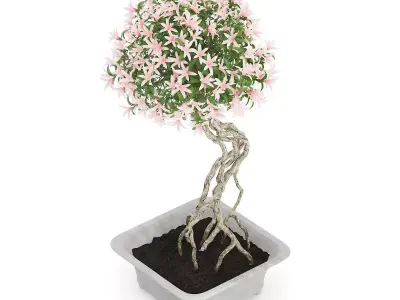 Flowering Tree in Concrete Pot 3D model