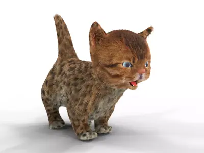 Cute kitten Fur Animated 02 Low-poly 3D model