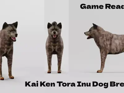 Kai Ken Tora Inu Dog Breed 3D model
