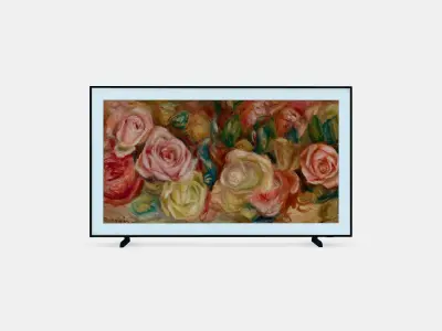 55 The Frame LS03D  3D model