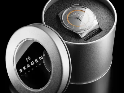 Watch Skagen SKW6007 3D model