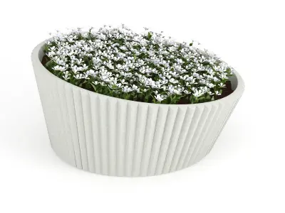 LENA Flowers 3D model