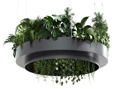 hanging plants collection Indoor plant 241 metal dirt vase  3D model