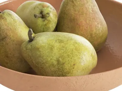 Kieffer pears in ceramic bowl 3D model