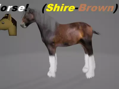 Horse Shire 3D model
