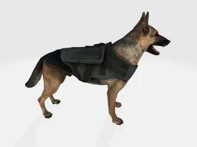 Dog 3d german shepherd wearing vest 3D model