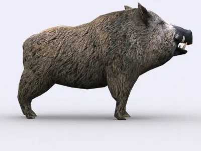 3DRT - Boar Low-poly 3D model