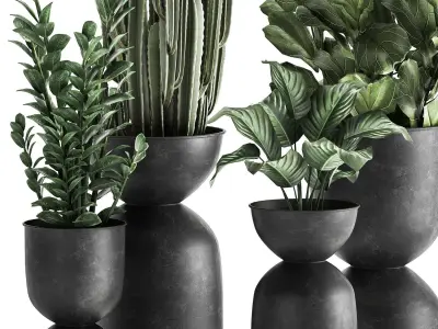 Houseplants in a pot for the interior 877 3D model
