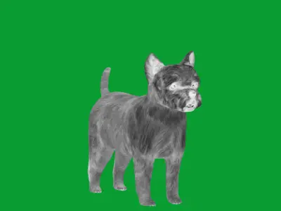 Cairn Terrier Dog Low-poly 3D model