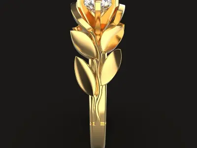  Ring Springtime 3D print model