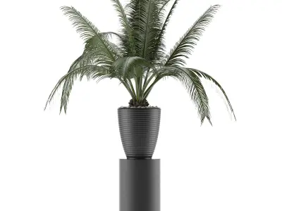 House Plant 29 3D model