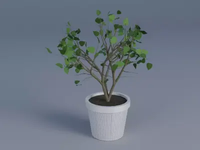 interior plant Low-poly 3D model