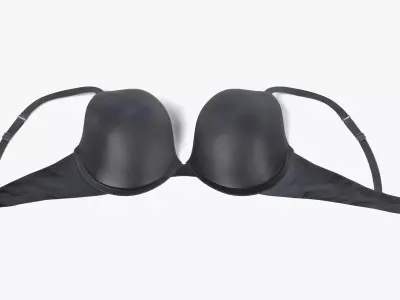-Bra- 3D model
